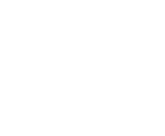 Evolution games at Royal Spin Mania Casino